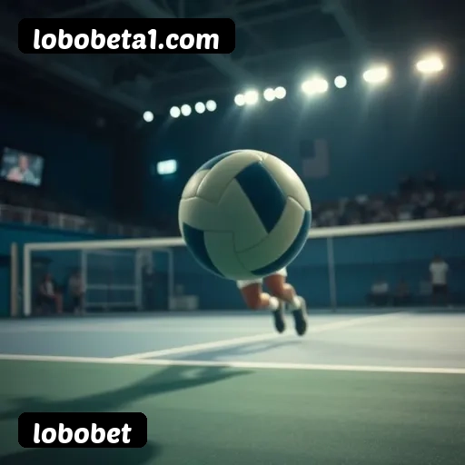 Estatísticas de bônus da lobobet em São Paulo, Rio de Janeiro e Brasília